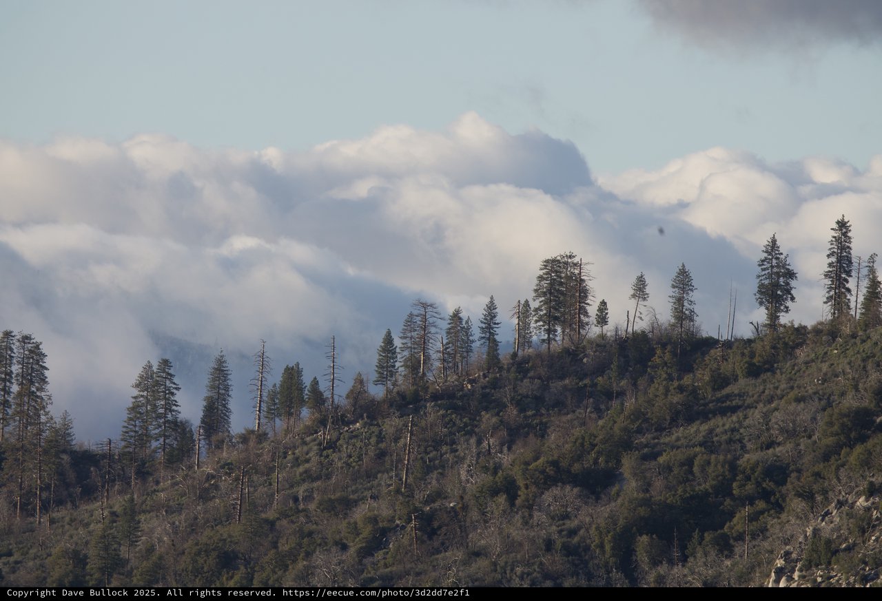 Dramatic Wildfire Smoke Over Forested Mountain Ridge