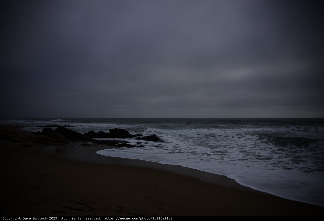 Solitude by the Sea