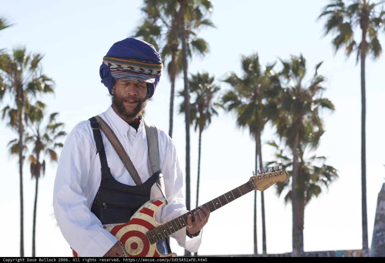 Turbaned Guitarist Serenades Under the Palm Trees