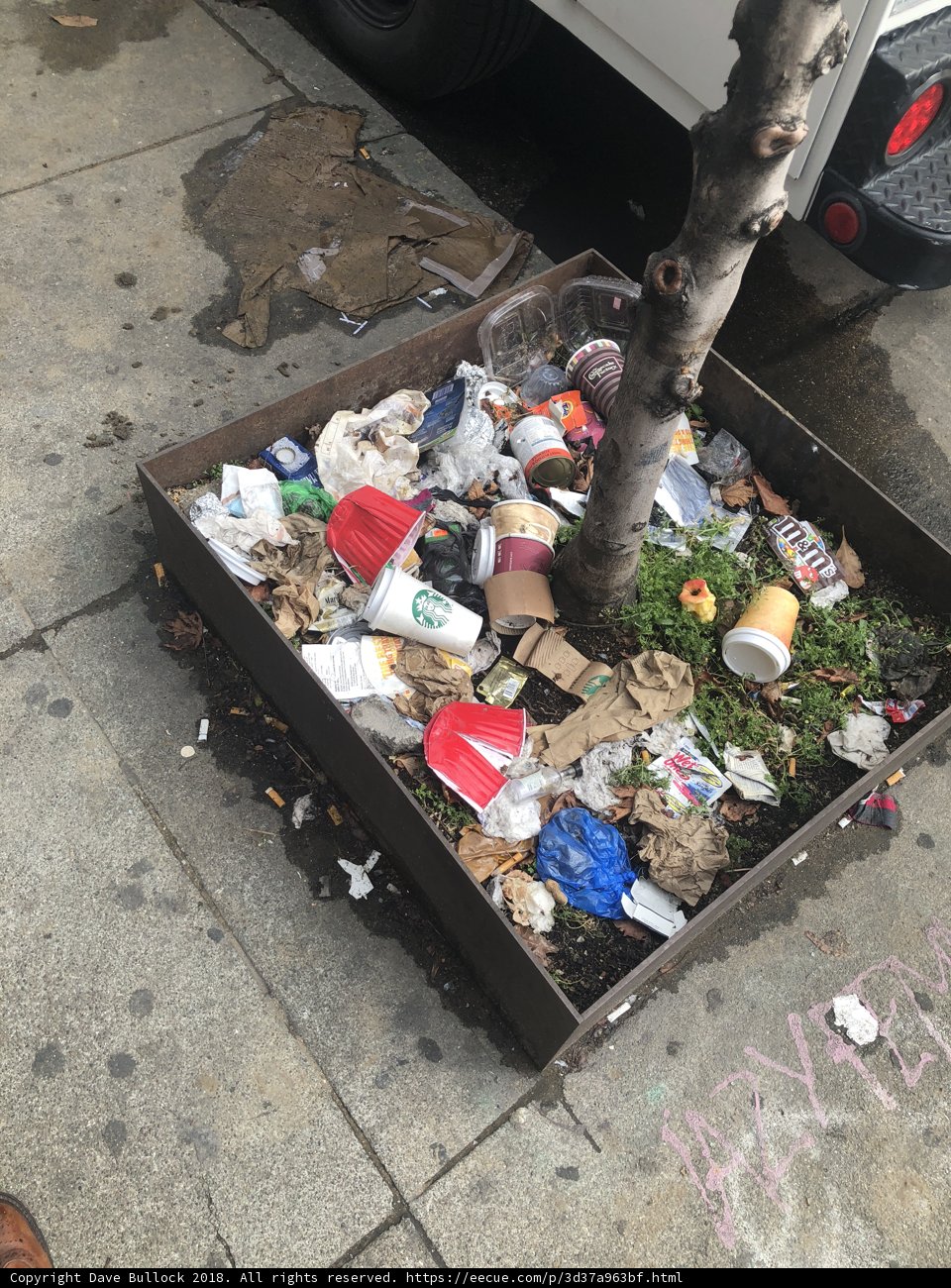 Trash and Trees