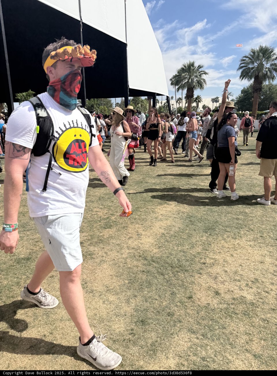 Sun-Kissed Vibes at the Festival