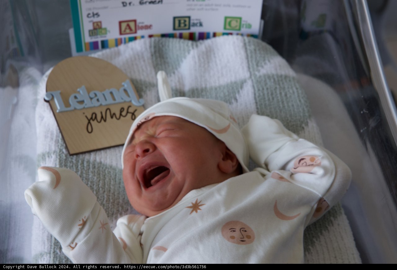 Welcome to the World, Leland