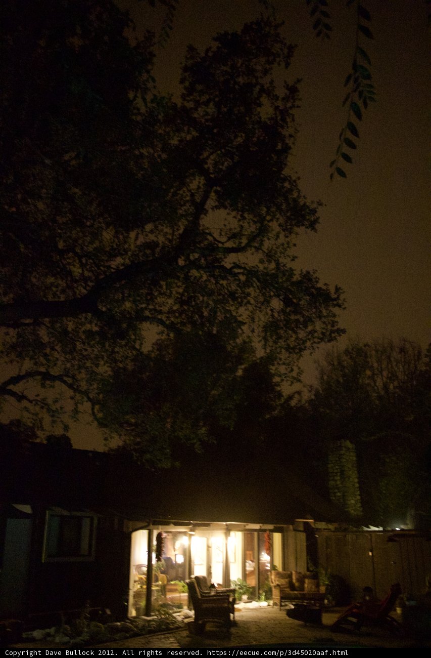 Nighttime Oasis