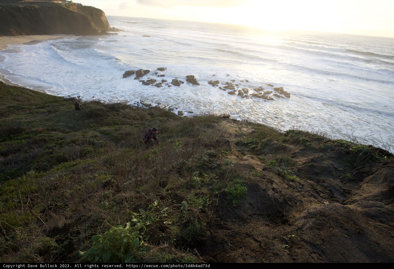 Riding Waves at Mavericks: A 2023 Beach Odyssey