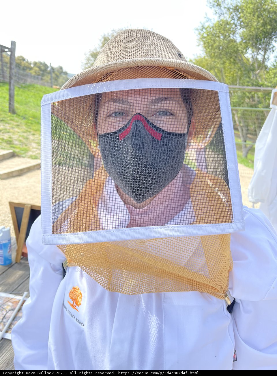 Beekeeping Adventures