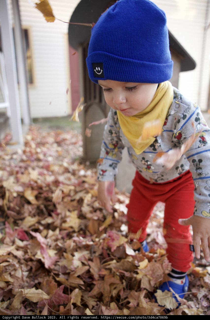 Autumn Playtime in Downtown Sonoma