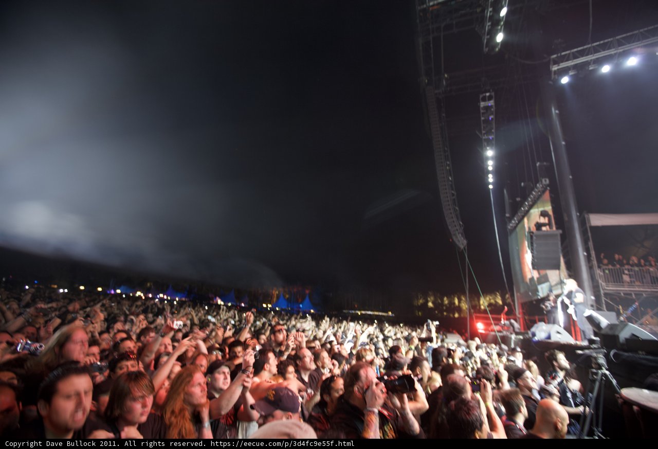 Crowd Rocking Under the Night Sky