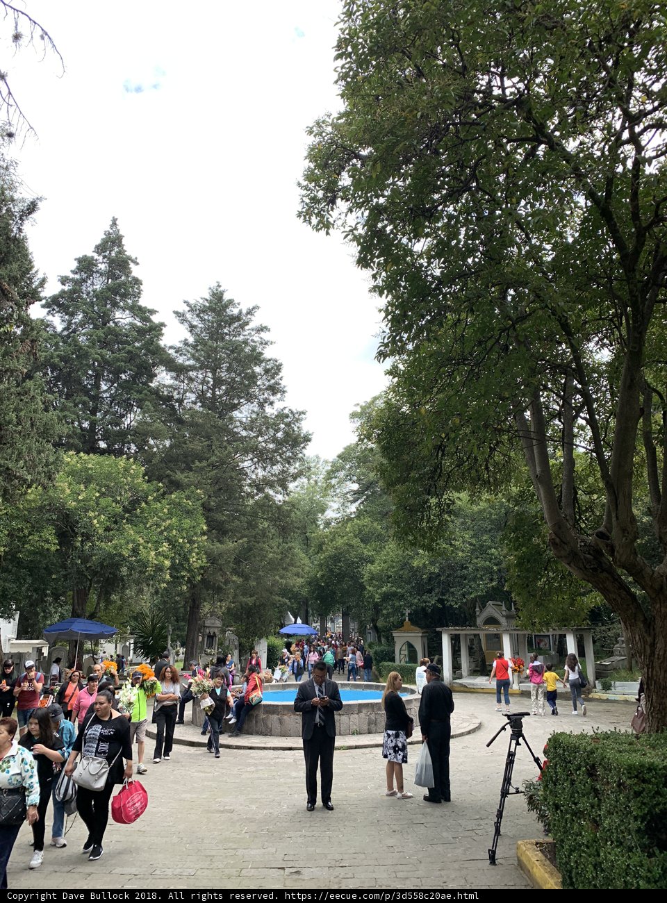 Gathering at the Grove