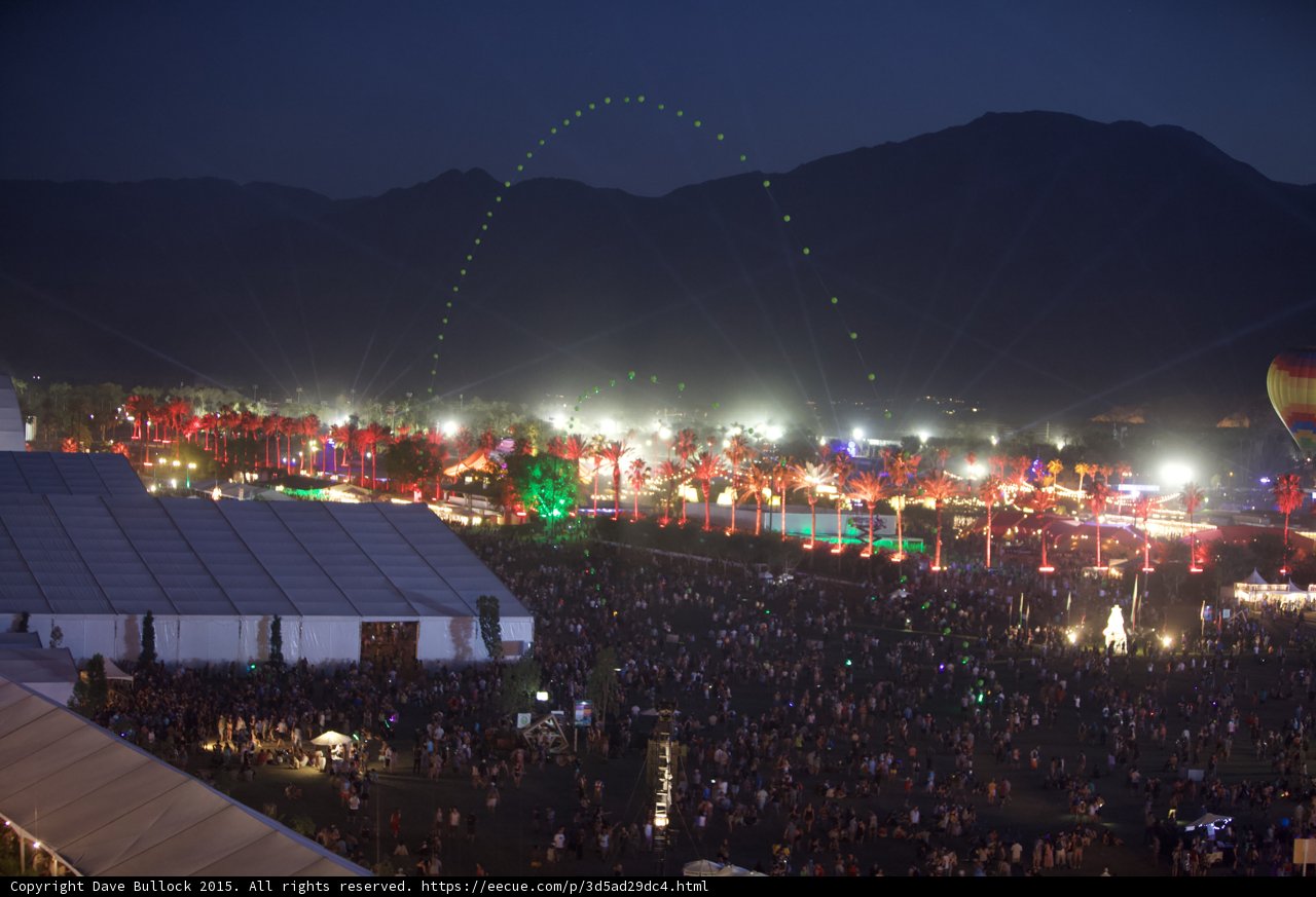Festival Frenzy
