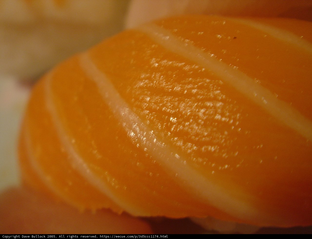 Satisfying Salmon Sushi Roll
