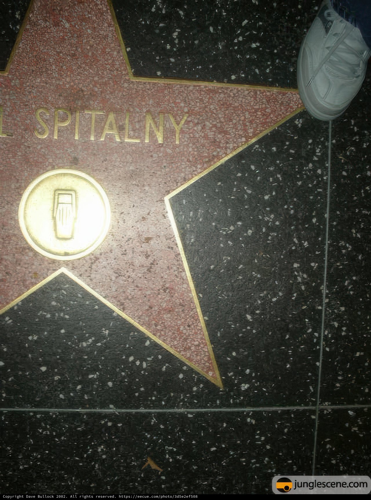 In Memoriam: Jim Spitalny's Star on the Hollywood Walk of Fame