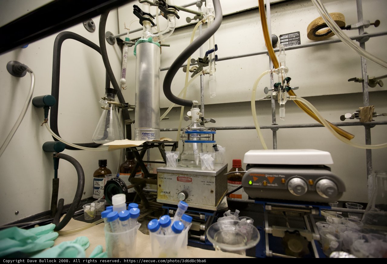 A Busy Day in the UCLA Nanomachines Lab