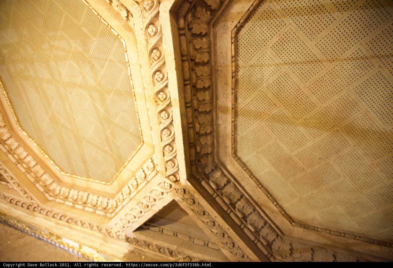 The Grandeur of the Opera House Ceiling