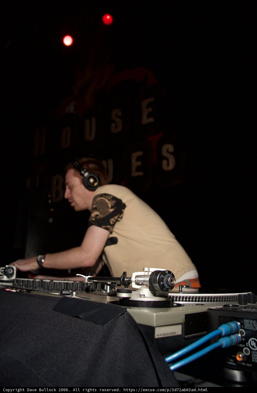House Party DJ in Action