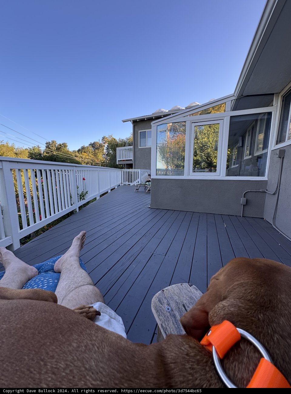 Peaceful Moments on the Deck