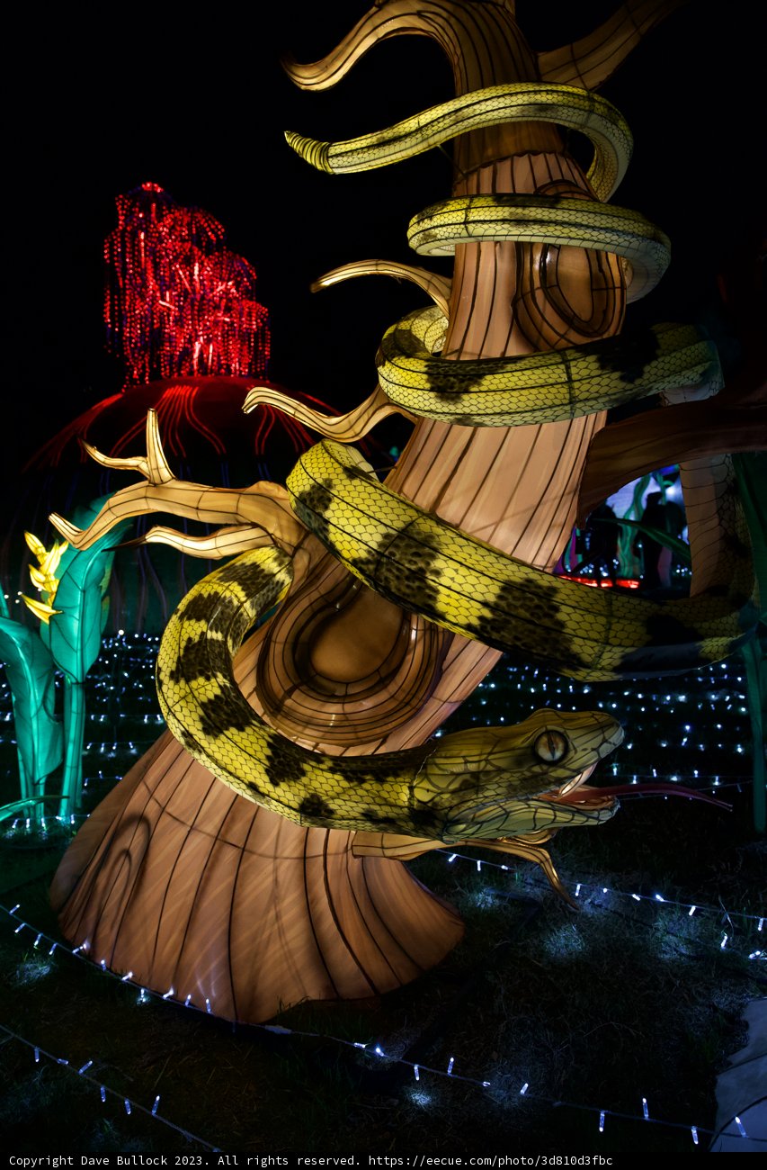 Serpent's Majesty at Glowfari Oakland Zoo