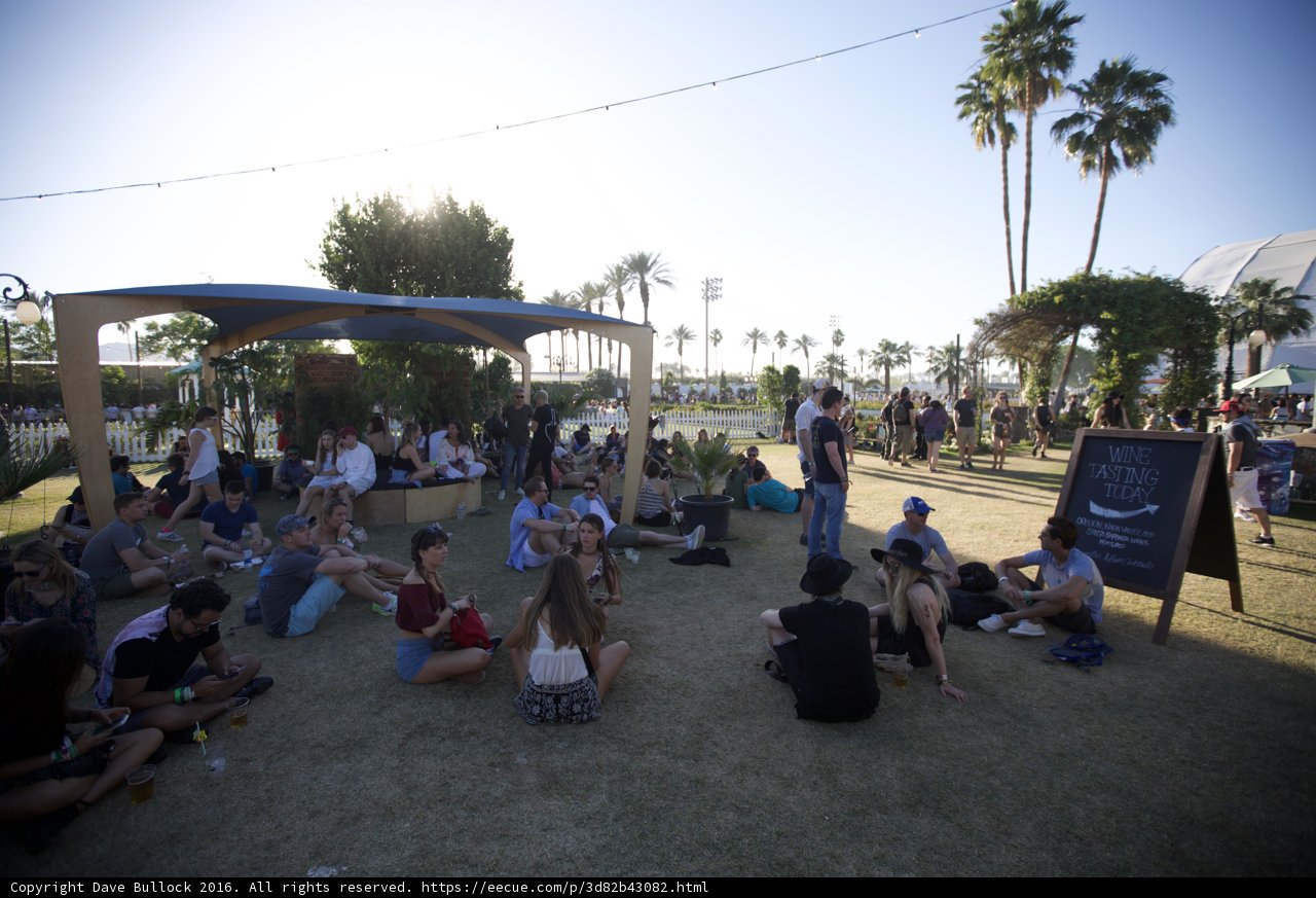 Summer Picnic in the Park