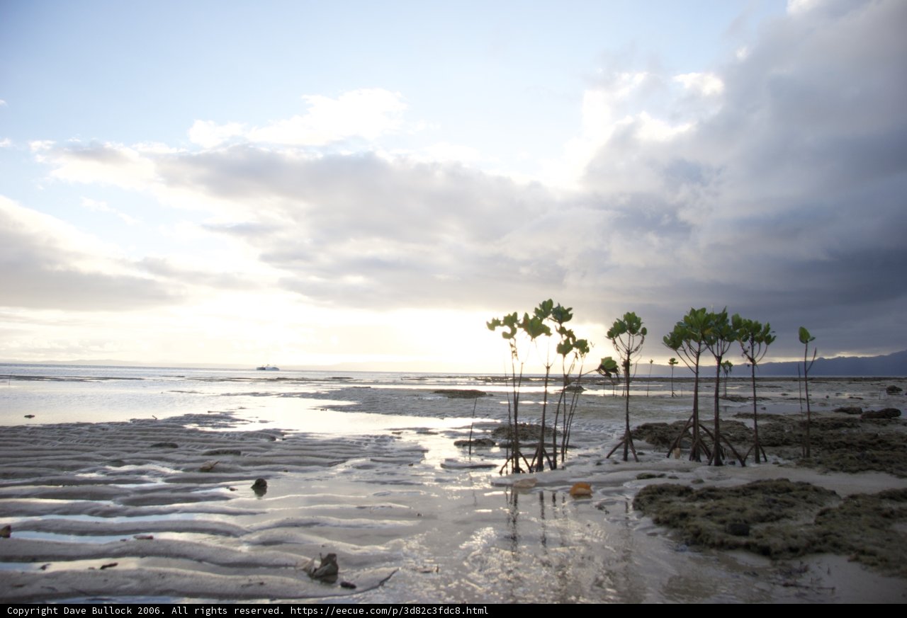 Serene Beachscape