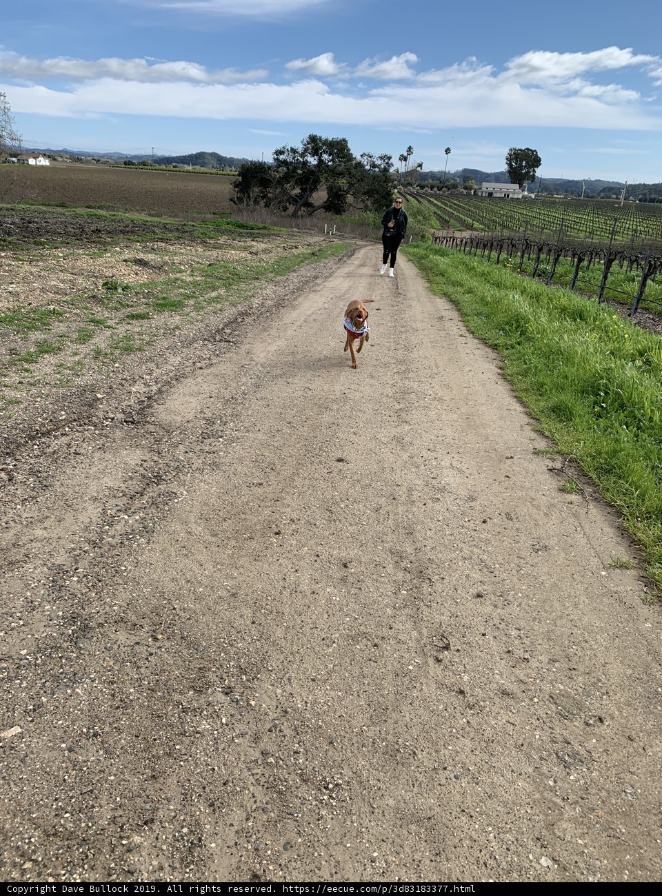 Running into the Great Blue Yonder