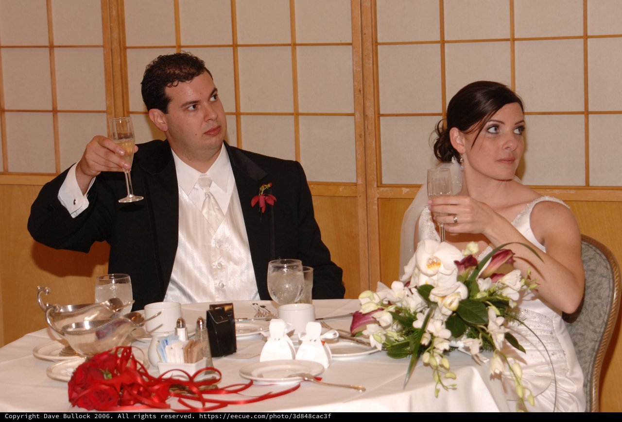 Bride and Groom Toast at Wedding Reception Table