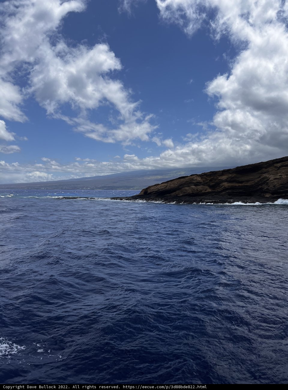 Serene Seascape in Hawaiʻi