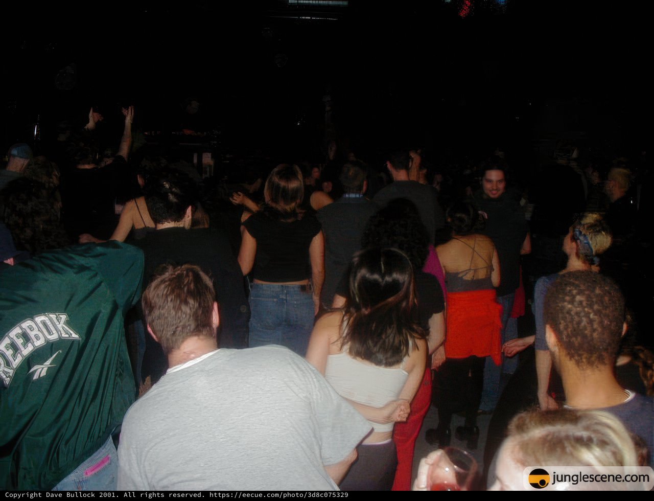 Nightclub Fun