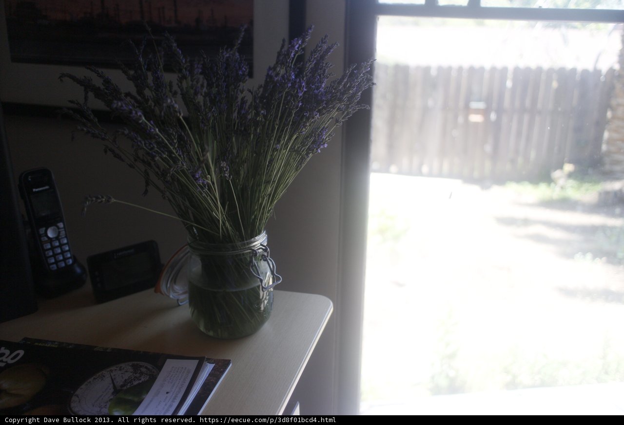 Lavender Beauty