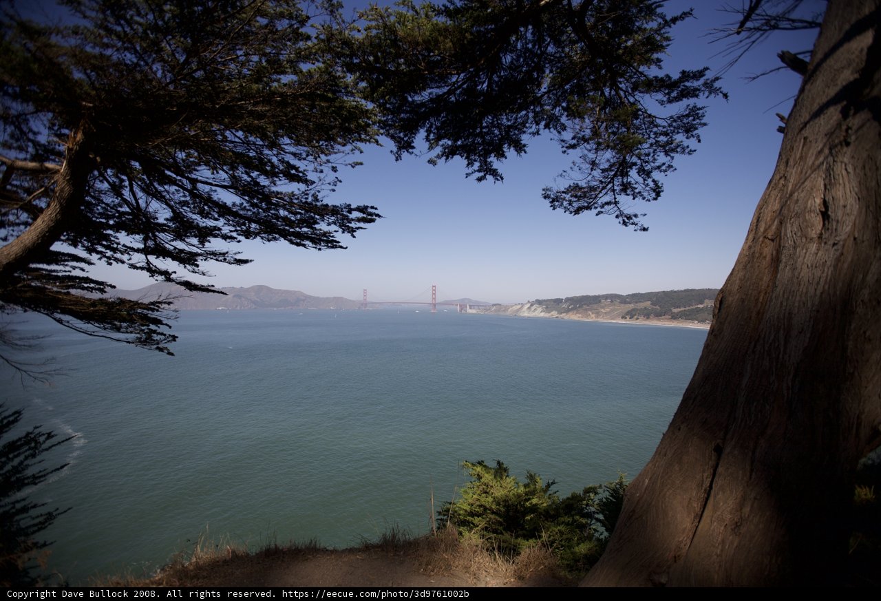 Golden Gate Bridge and Surrounding Nature