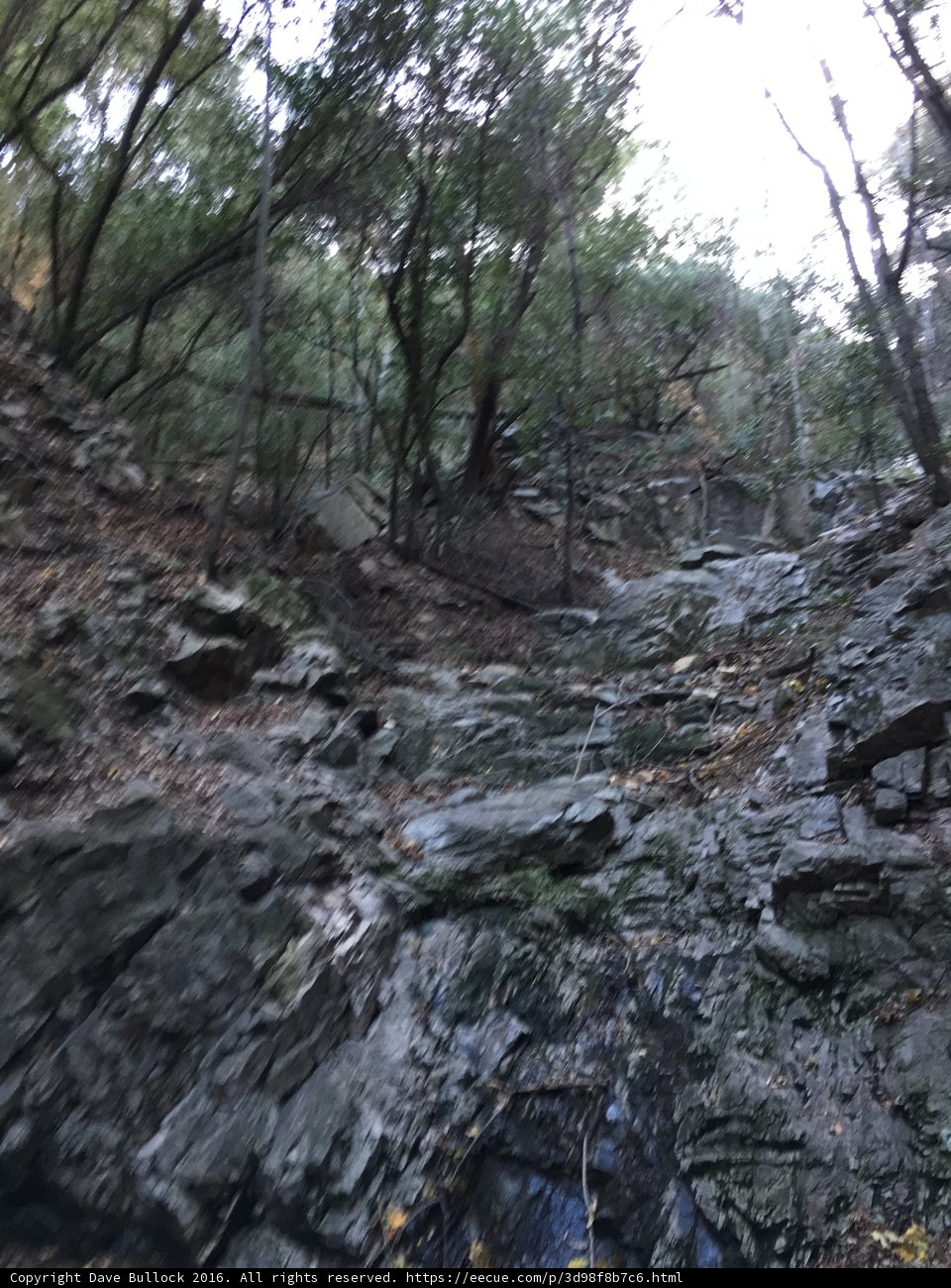 Serene Stream in the Wilderness
