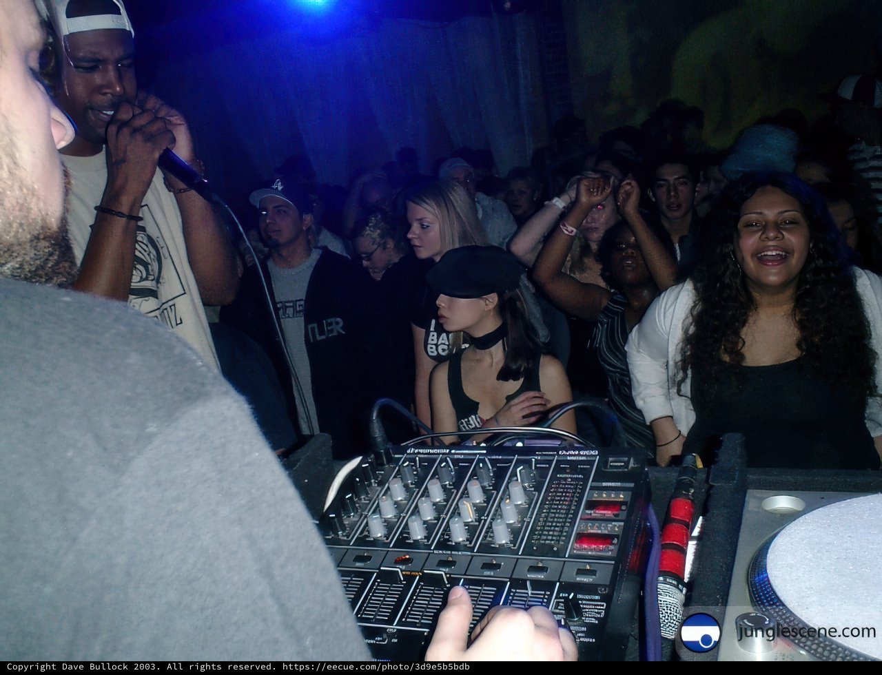 Nightclub DJ Entertaining Crowd with Music