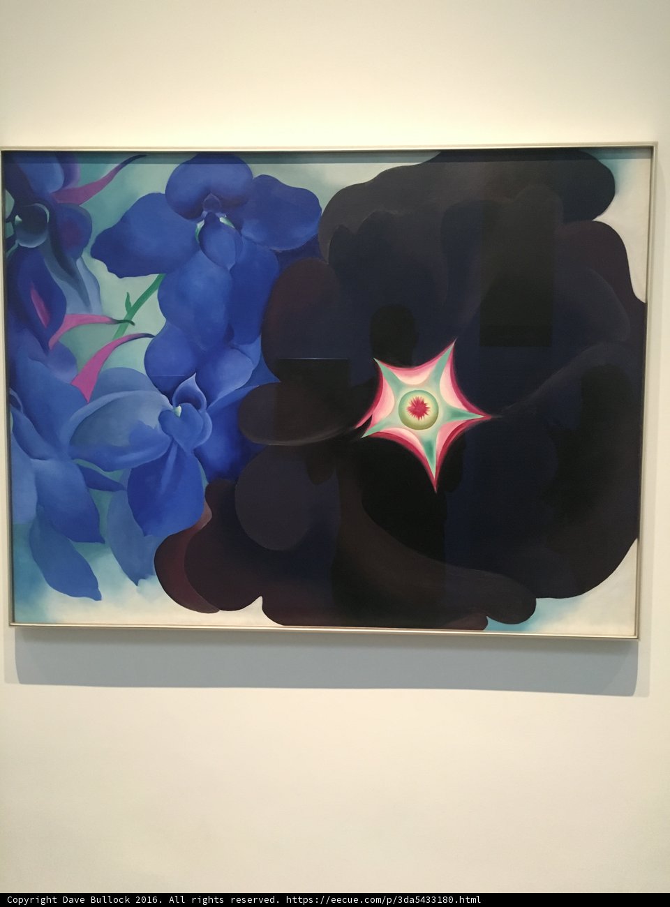 Blue Flowers and Black Star