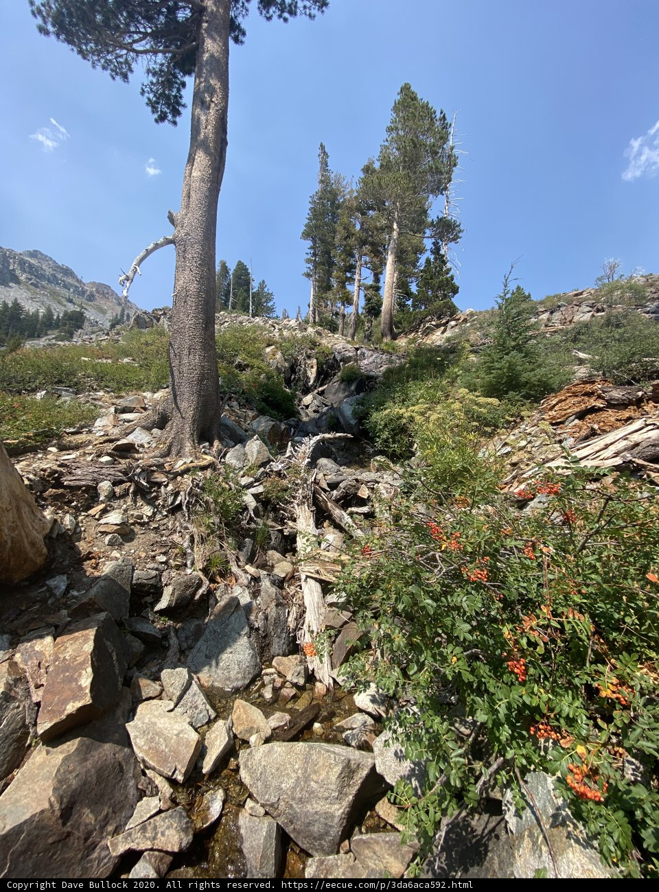 Rocky Stream in Desolation Wilderness