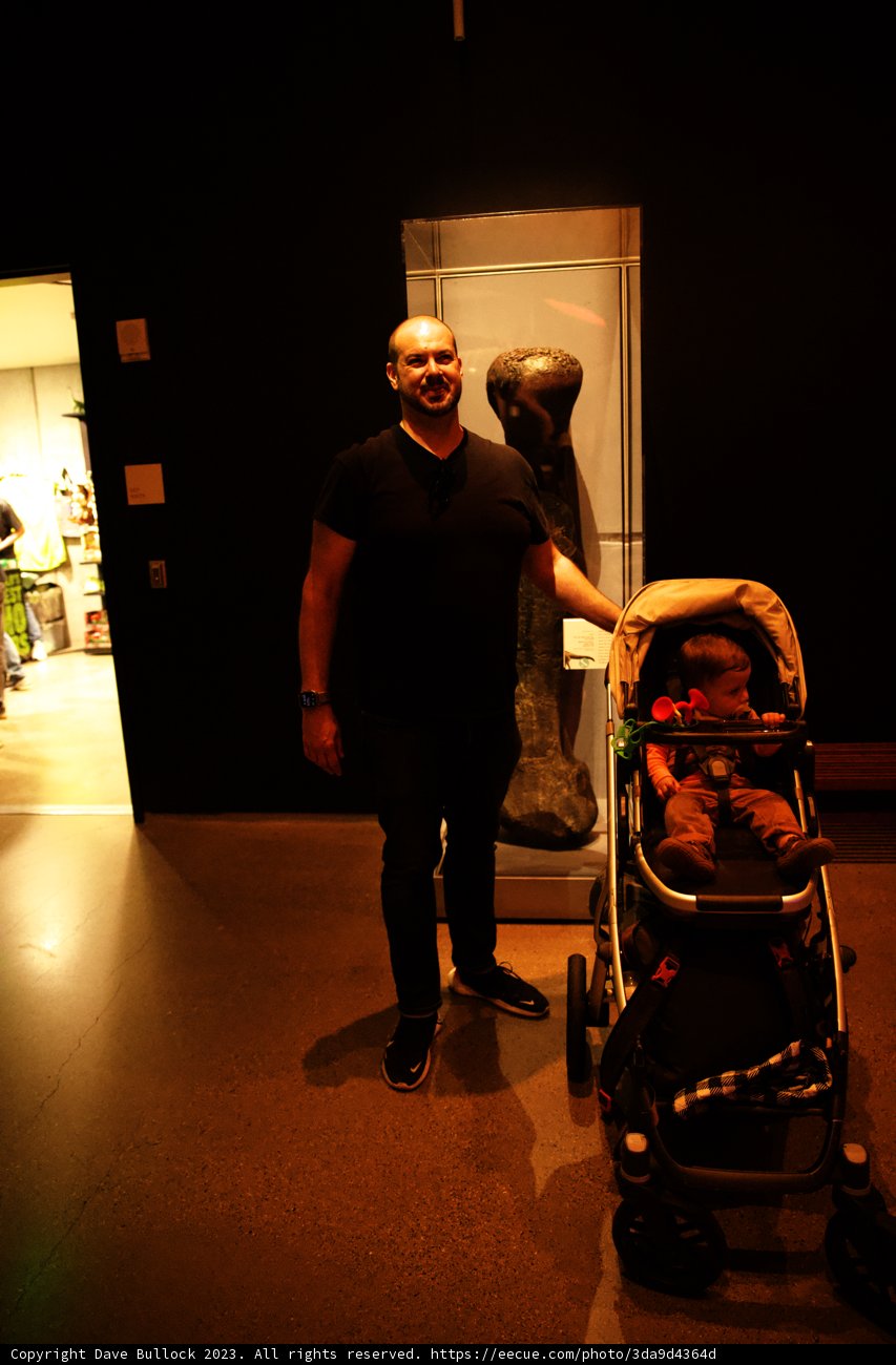 A Family Adventure at California Academy of Sciences