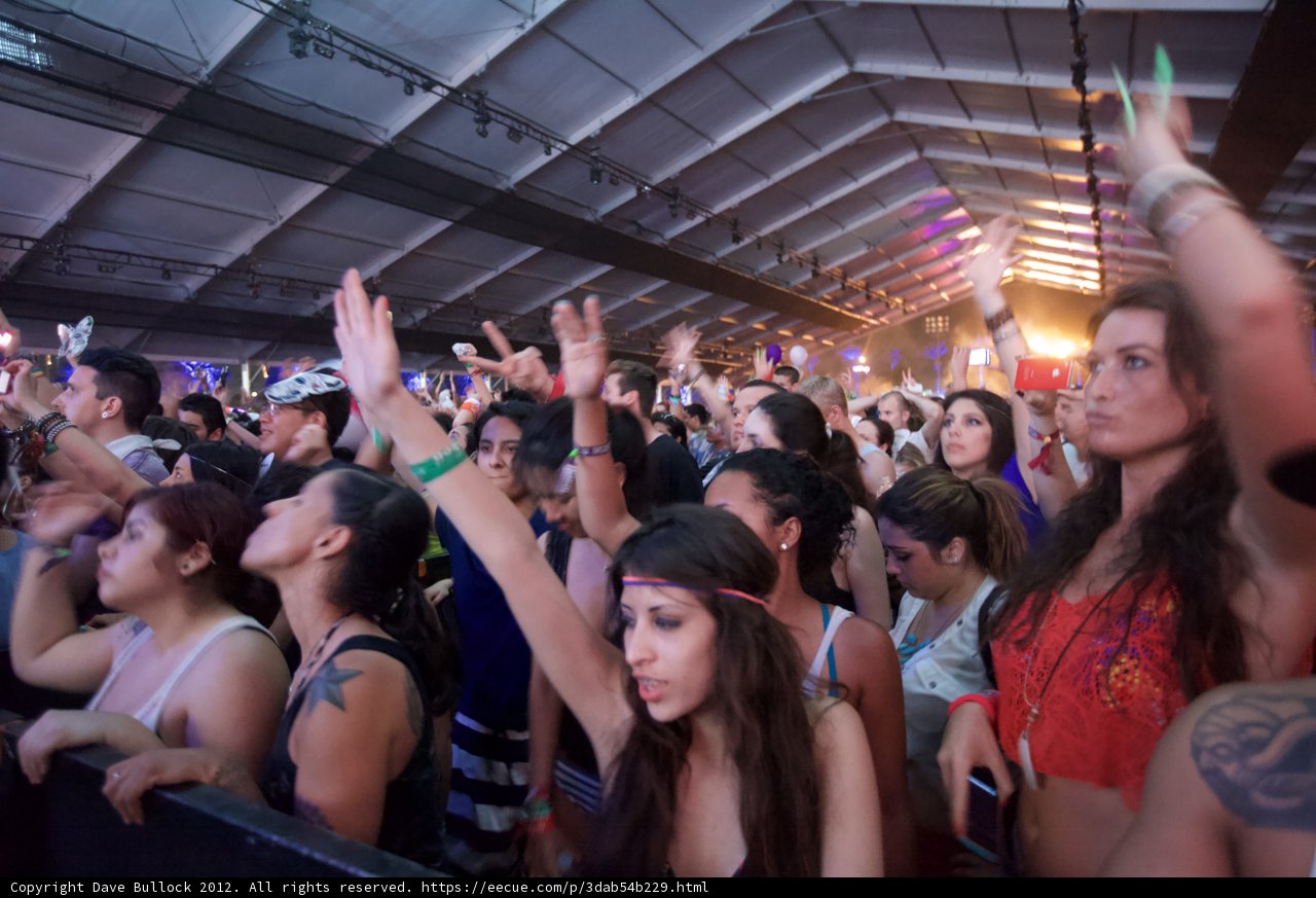 Electric Nightlife at Coachella 2012