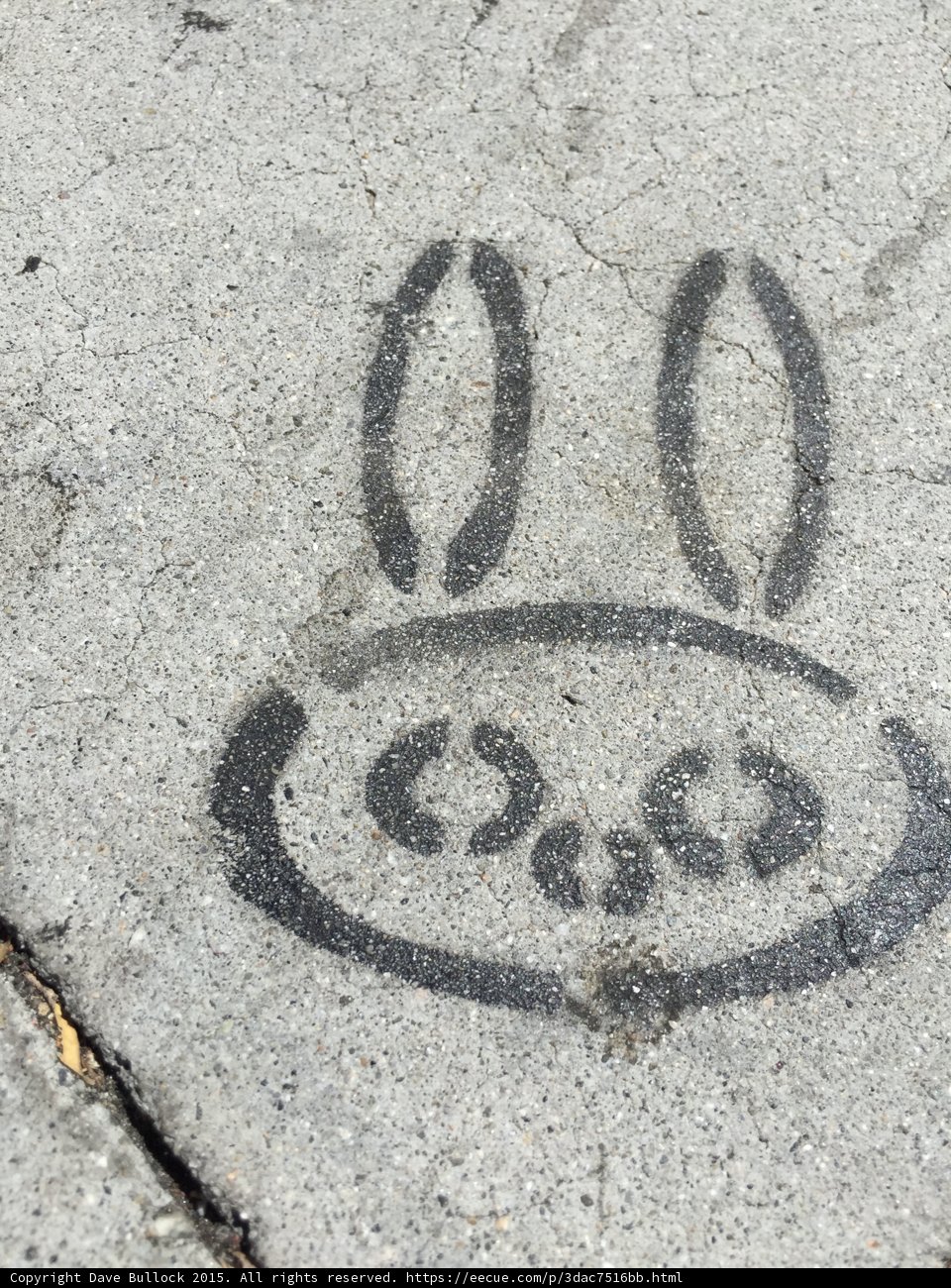 Sidewalk Rabbit Graffiti