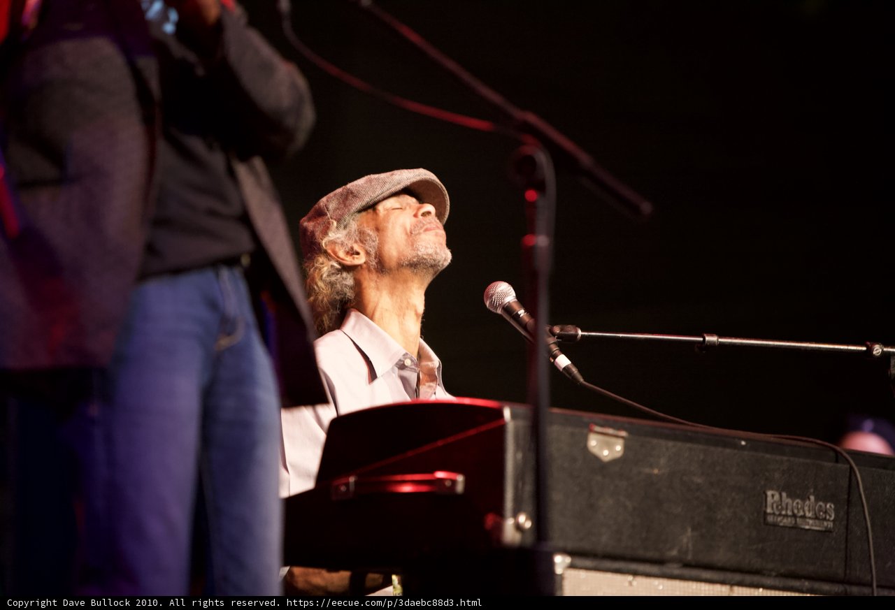 Keyboard Crooner at 2010 Cochella