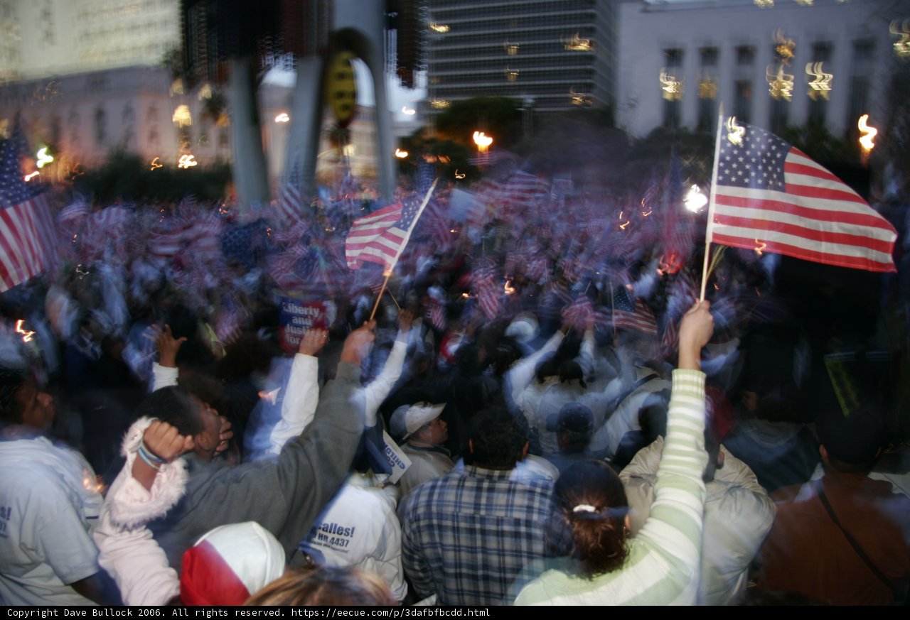 Patriotic Crowd