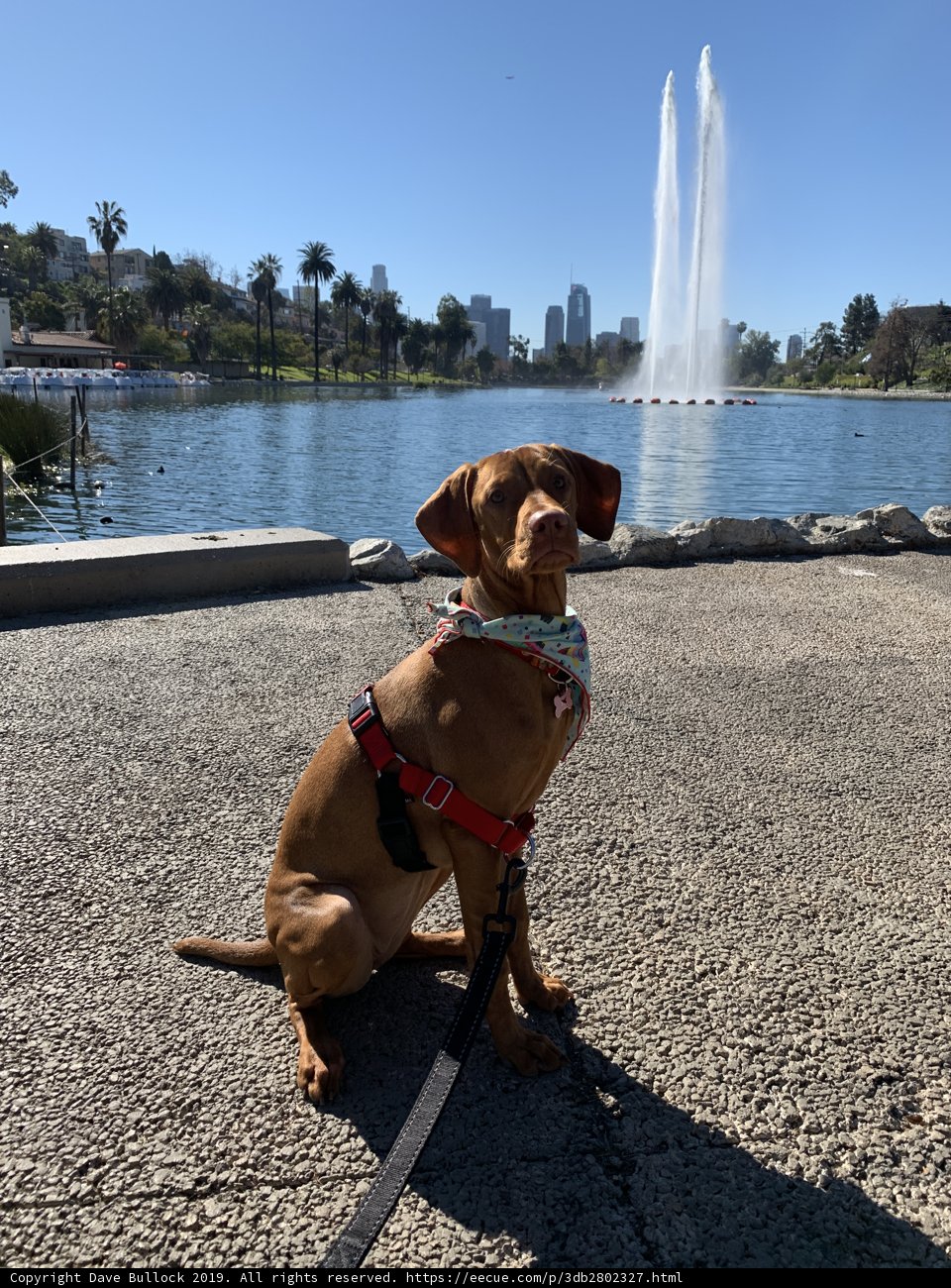 Serenity by the Fountain