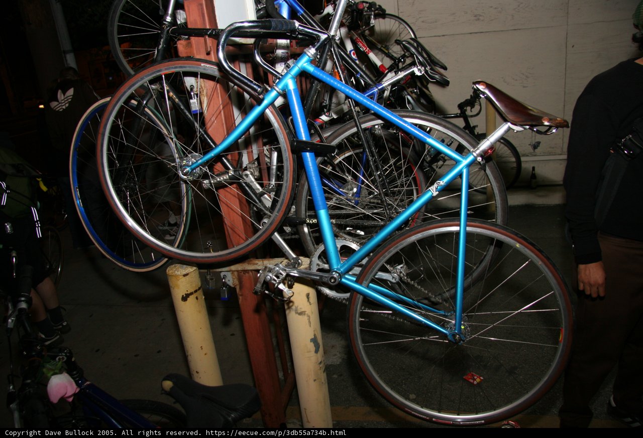 Blue Beauty Resting