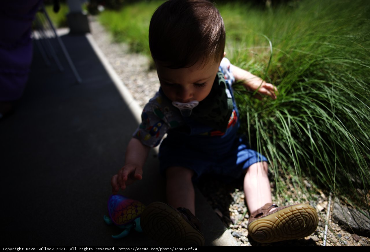 Fun in the Sun with Baby Boy