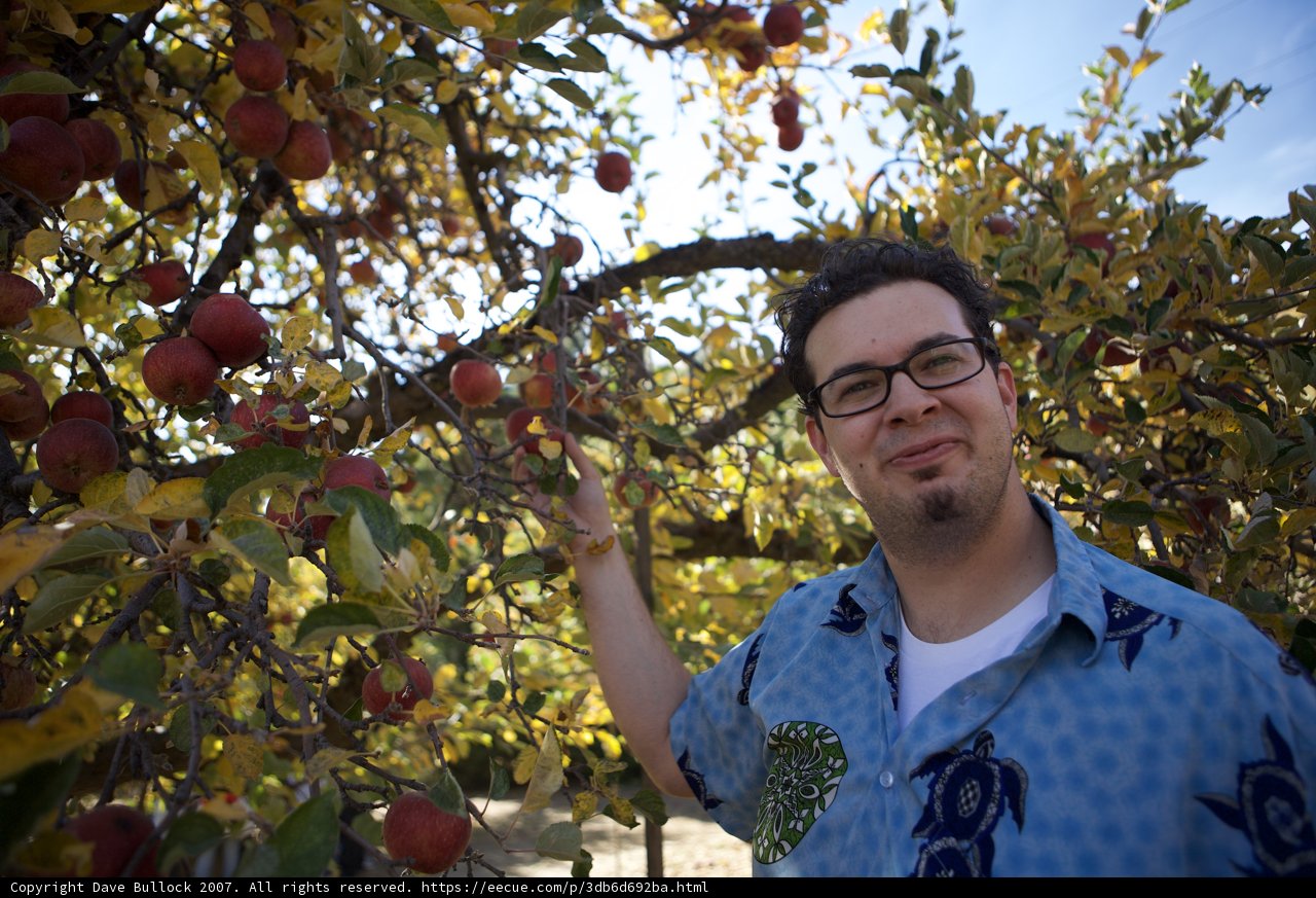 Dave B's Apple Harvest