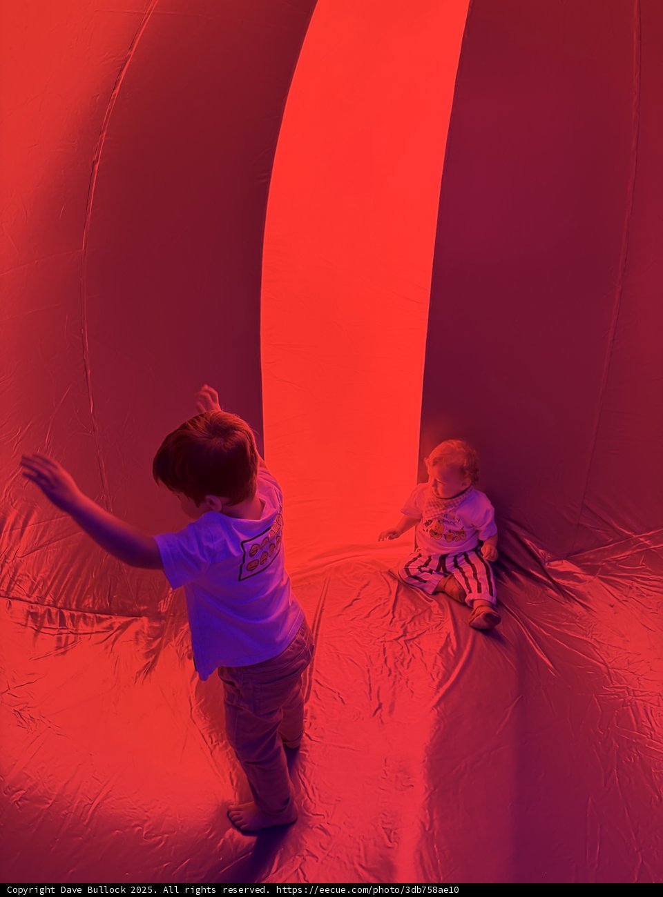 Playful Moments in a Vibrant Hue