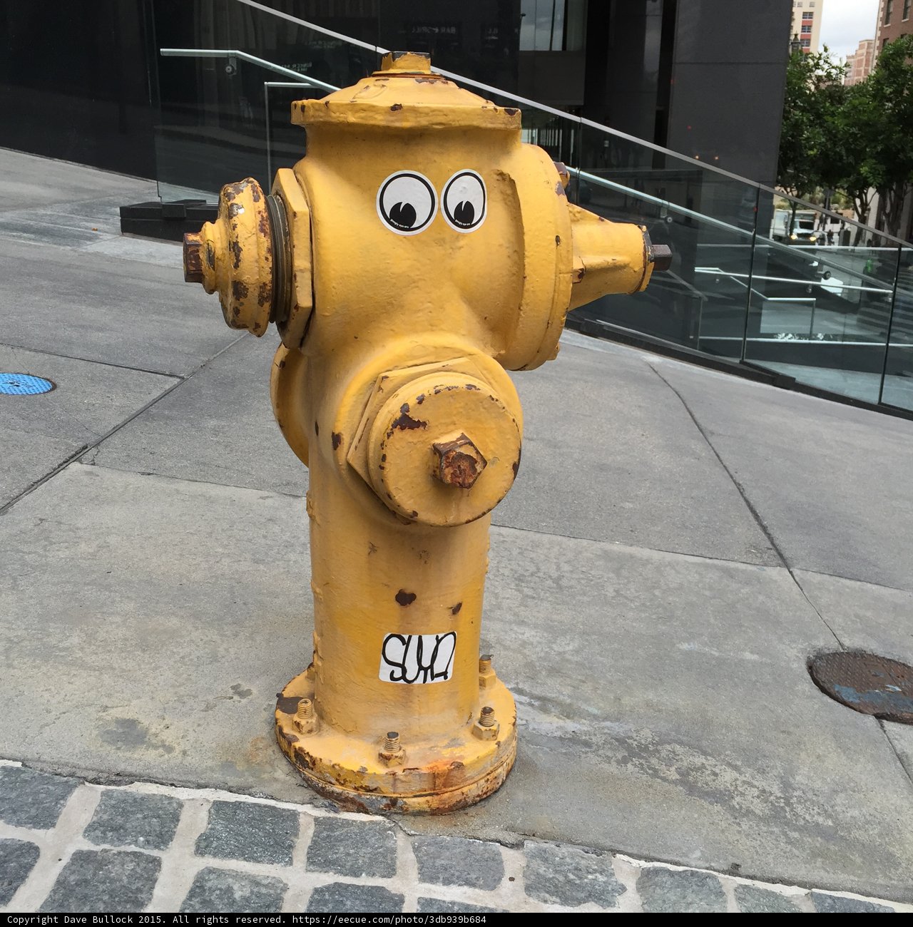 Googly Eyes Fire Hydrant