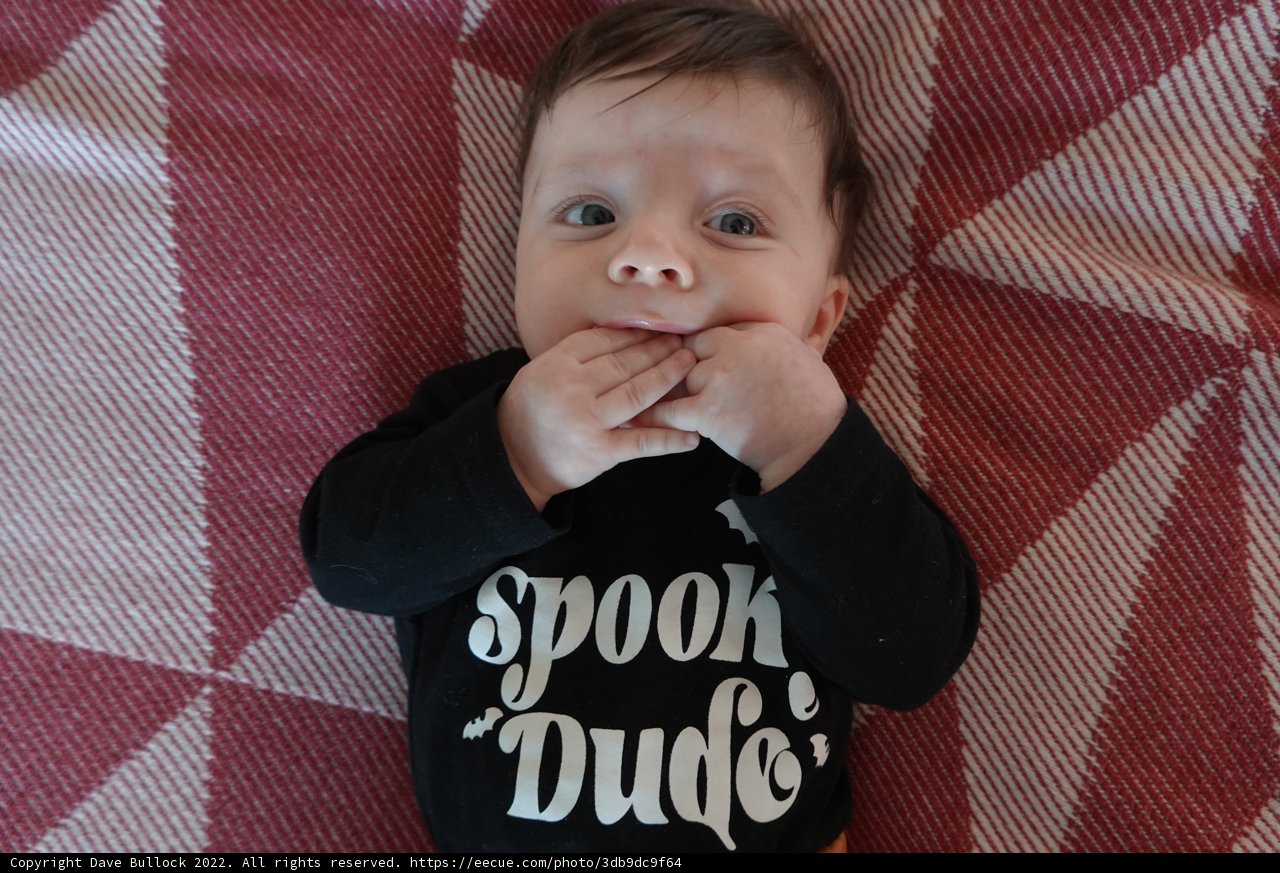 Spooky Adorability: The Cutest Little Spook