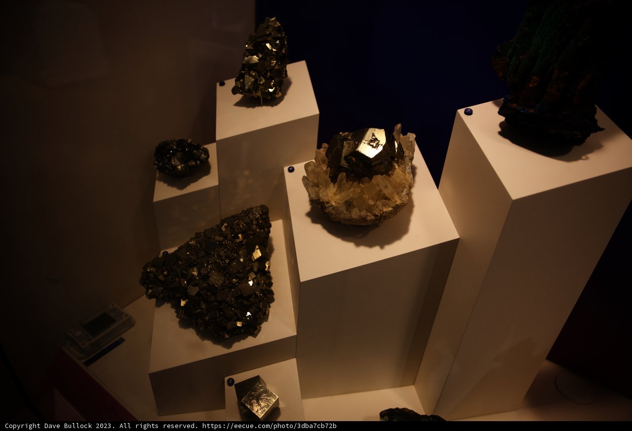 A Dazzling Collection at the California Academy of Sciences