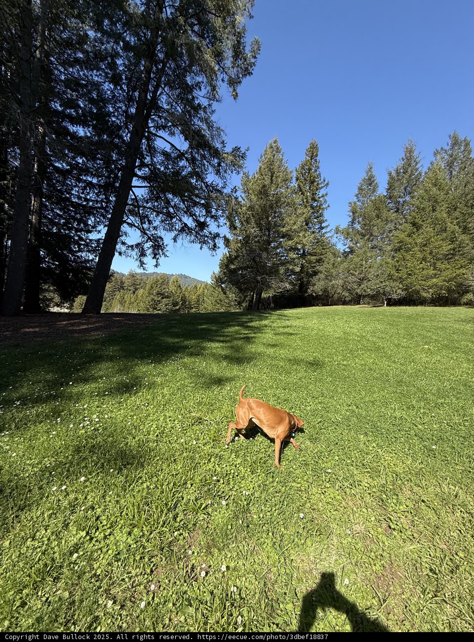 A Perfect Day in Nature's Playground