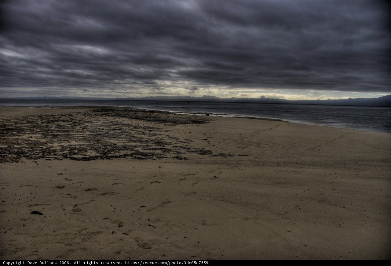 Moody Beachscape