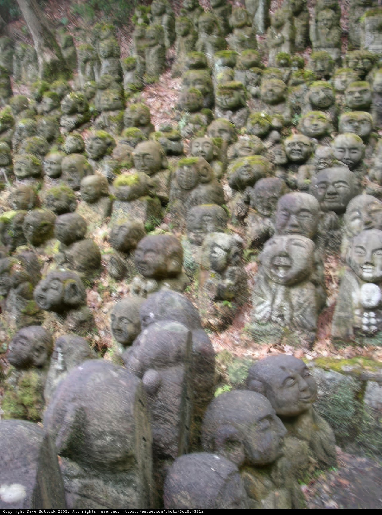 Stone Statues in the Forest