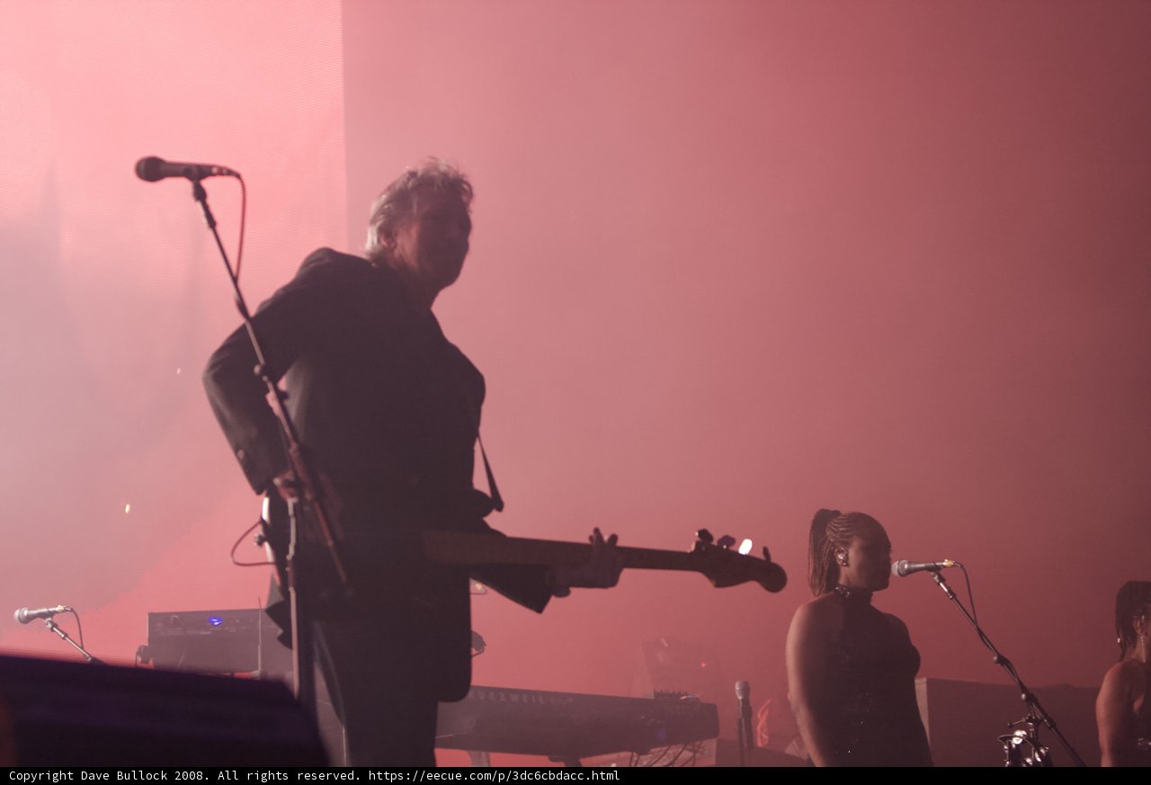Rocking Out at Coachella
