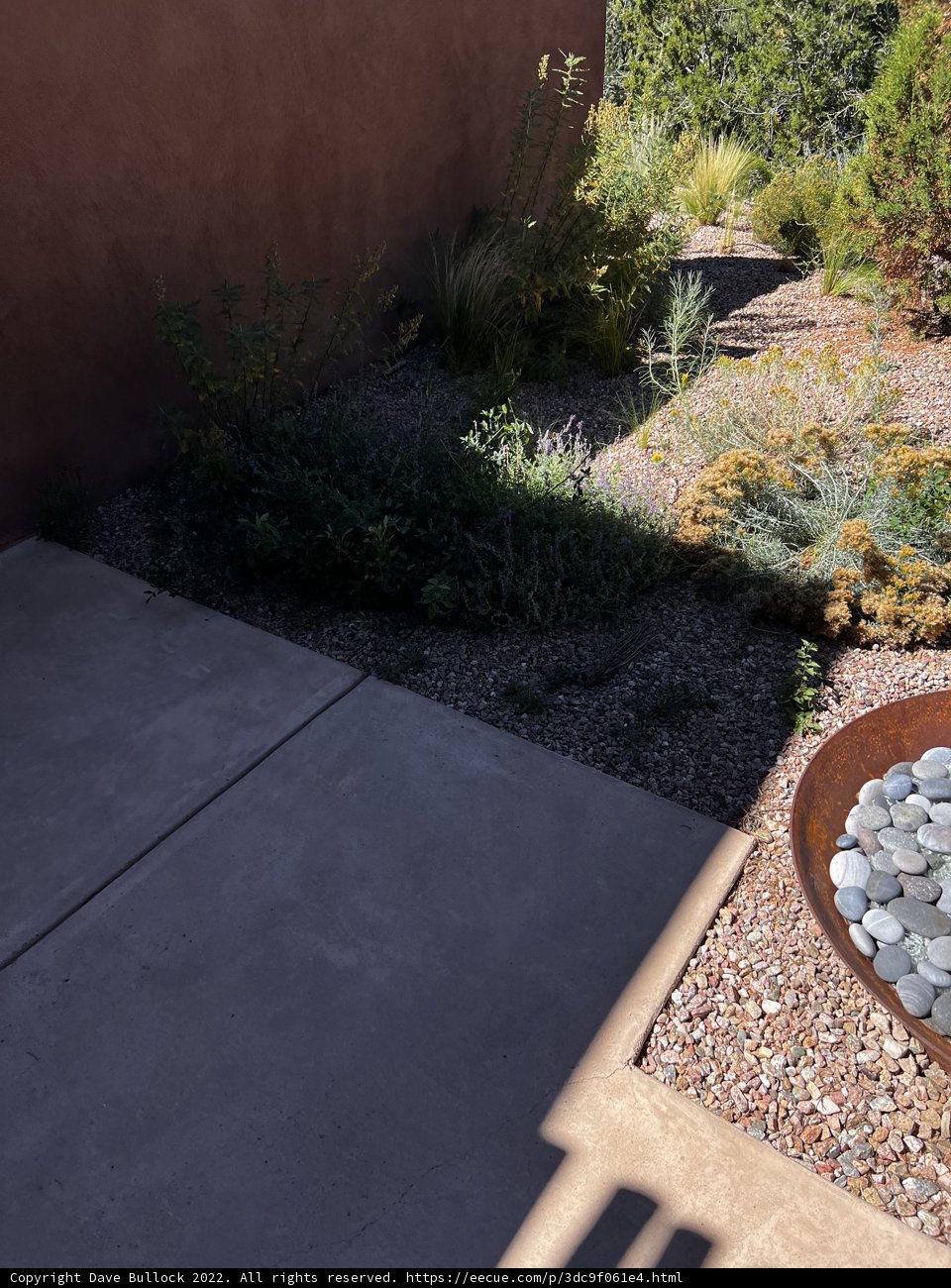 Desert Oasis